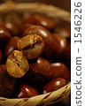 Tamba Chestnut 1546226