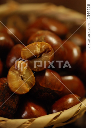 丹波板栗 1546226