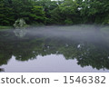 Pond where morning mist is set 3 1546382