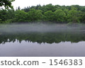 Pond with morning mist 4 1546383
