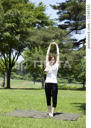 Stretch Stretch 1546591