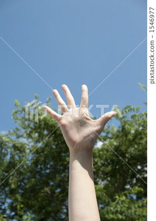 手掌 平價 手 1546977