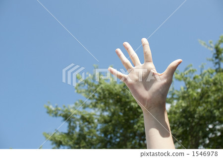 手掌 五 5 1546978