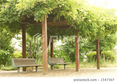 公園的長椅上 公園的長椅上 1547307