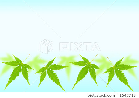 Maple leaf background 1547715