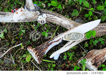 antler, paper knives, key chain 1547865