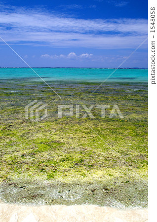 nature, natural, naturals 1548058