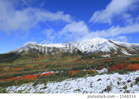 第一場雪和秋天的落葉 1548314