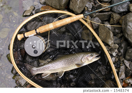 Fly fishing Fly fishing 1548374