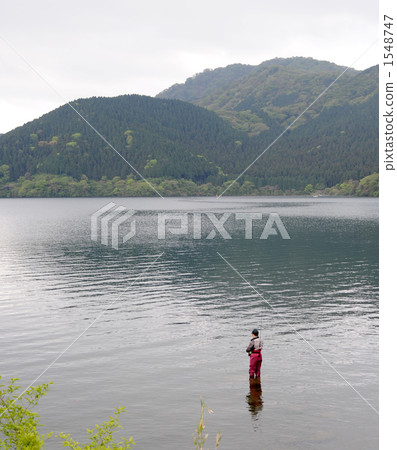 Rainbow trout fishing Rainbow trout fishing 1548747