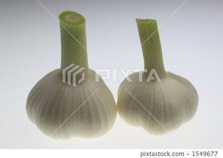 大蒜 大蒜 1549677