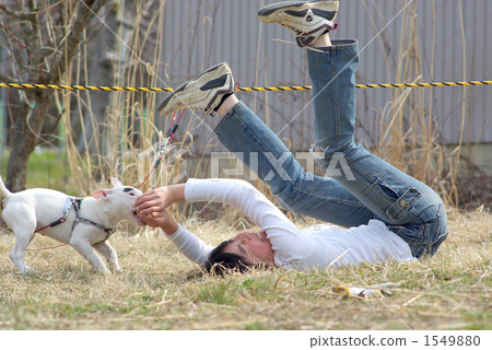 Girl playing with miniature bull terrier 1549880