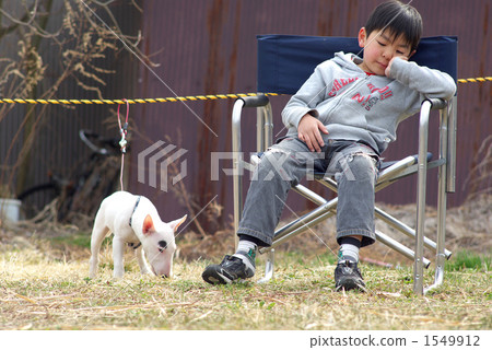 微型雜種犬和一個男孩 1549912