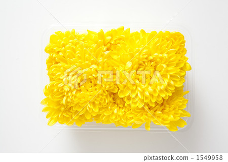 Edible chrysanthemum pack 1549958