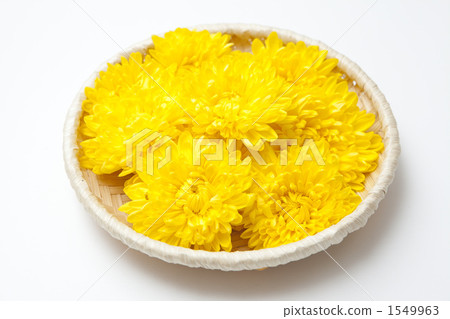 edible chrysanthemum edible chrysanthemum 1549963