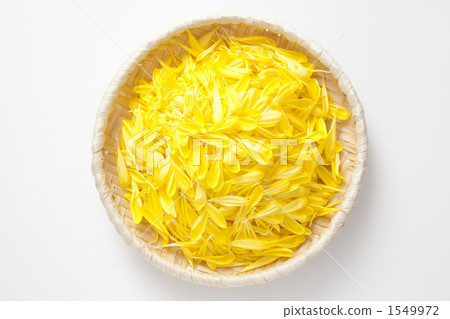 edible chrysanthemum 1549972