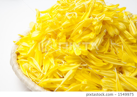 食用菊花 1549975