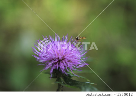 阿布飛到了薊 1550012