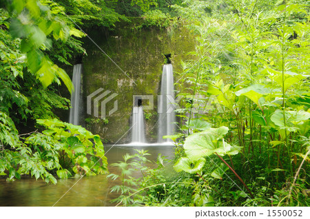 水滴 落下 衰敗 1550052