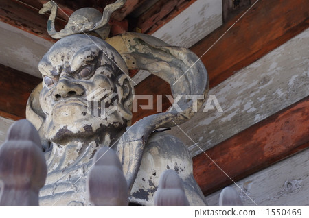 Mr. Kaneshicho 1550469