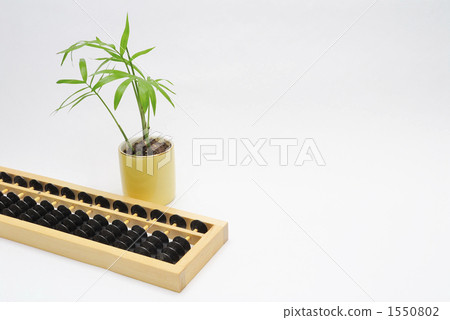 Soroban and mini-house plants Soroban and mini-house plants 1550802