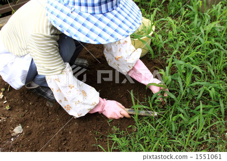 用鐮刀割草,照料花園 用鐮刀割草,照料花園 1551061