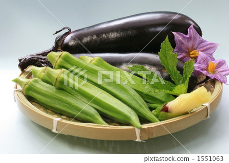 茄子 秋葵 夏令時蔬 1551063