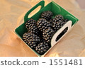 Marche's fresh fruit: mulberry 1551481