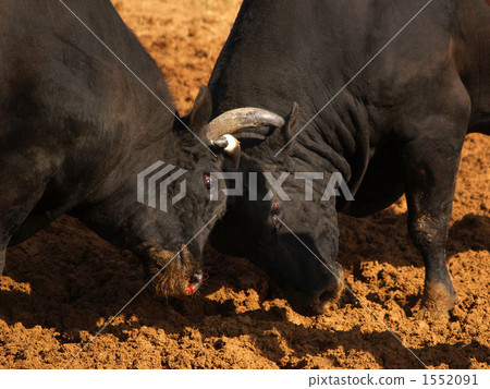 不要放棄對方 1552091