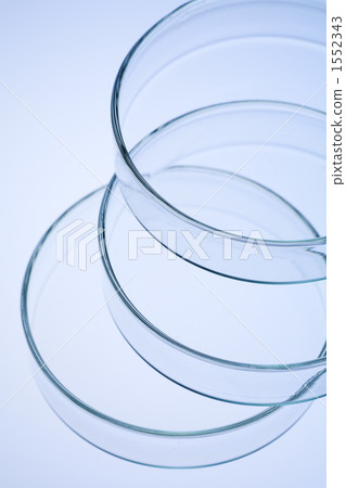 petri dish, Laboratory Equipment, researching 1552343