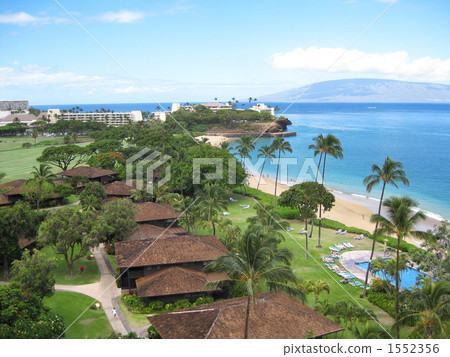 夏威夷 夏威夷 1552356