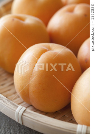Apricots Apricots 1552828