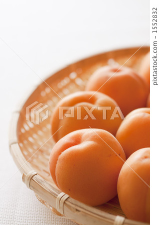 Apricots 1552832
