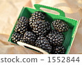 Marche's fresh fruit: mulberry 1552844