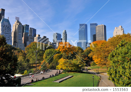  Autumn's Central Park 1553563