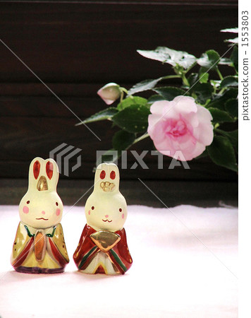 Rabbit chicks Rabbit chicks 1553803