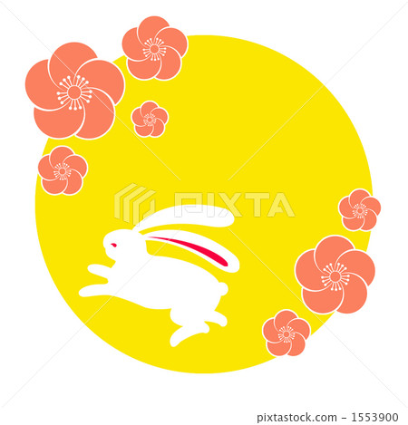 bunny, rabbit, ume 1553900