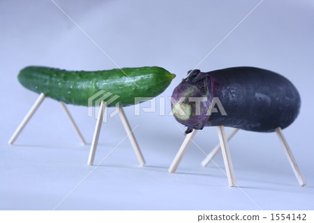 Cattle with cucumbers and cows 1554142