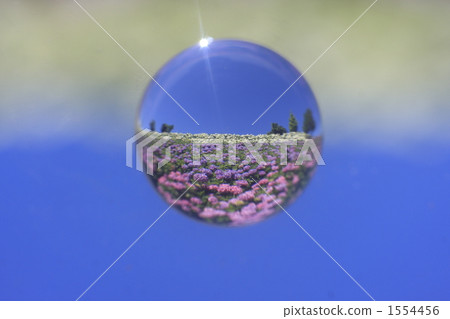 大理石透鏡 球體 六月 1554456