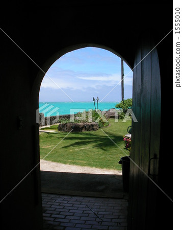 花園 院子 翡翠 1555010