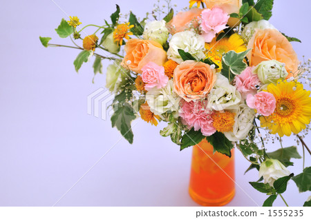 常春藤 禮物 送禮 1555235