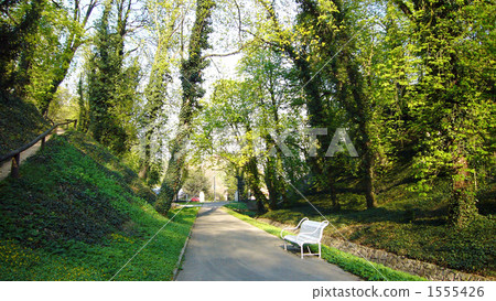Bench in the forest 1555426