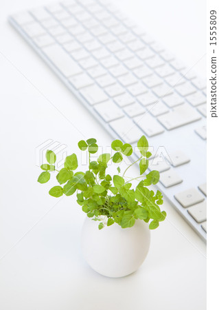 茄子和PC鍵盤 1555809