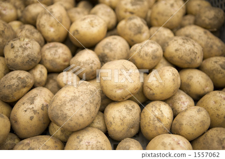 Potato chitaakari Potato chitaakari 1557062