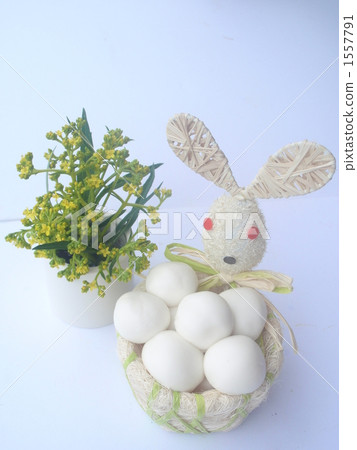 dumpling, bunny, rabbit 1557791
