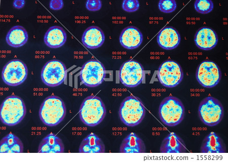 多彩 五顏六色 彩色 1558299