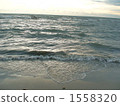沙灘 水邊 波浪 1558320