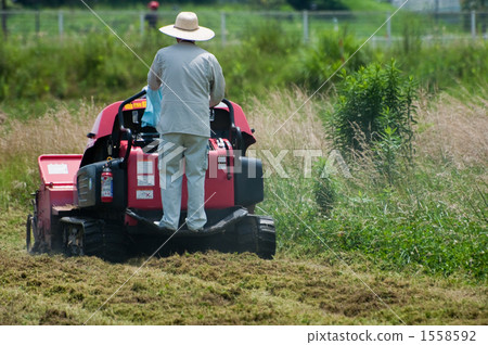 Grass cutter 1558592