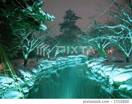 在雪櫻花觀景橋 1558800