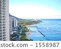 Look for Waikiki in July Look for Waikiki in July 1558987